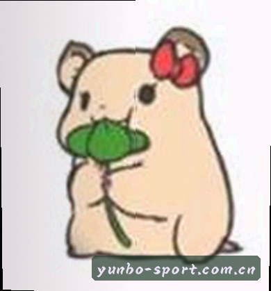 赵敏